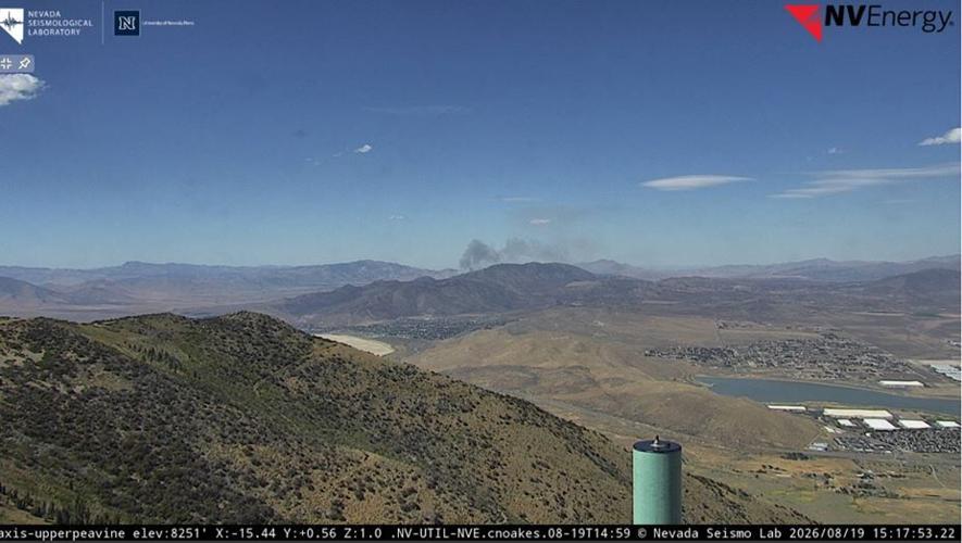 Bug Fire smoke