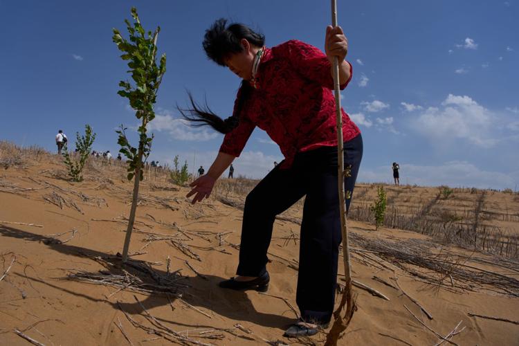China Desert Control
