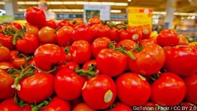 U.S. Moves Toward Agreement on Mexican Tomatoes