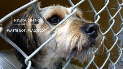 Waste Not, Wag a Lot at Nevada Dining