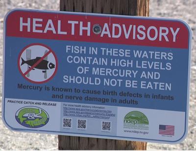 Health Advisory - Mercury