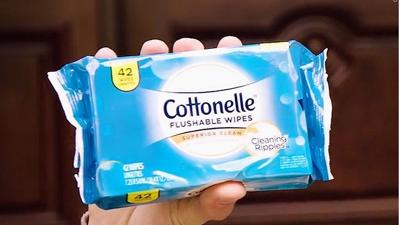 Flushable wipes generic mgn .jpg