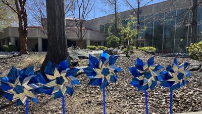 Pinwheels for child abuse awareness