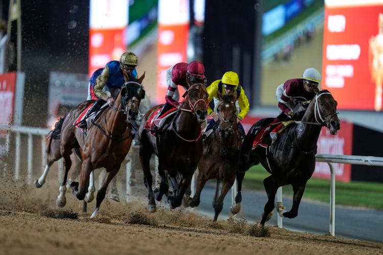 Emirates Dubai World Cup Horse Racing
