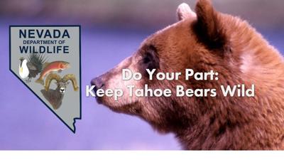 NDOW - Do your part keep bears wild .jpg