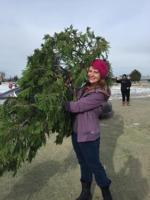 KTMB: 9,550 Area Christmas Trees Recycled During Annual Program