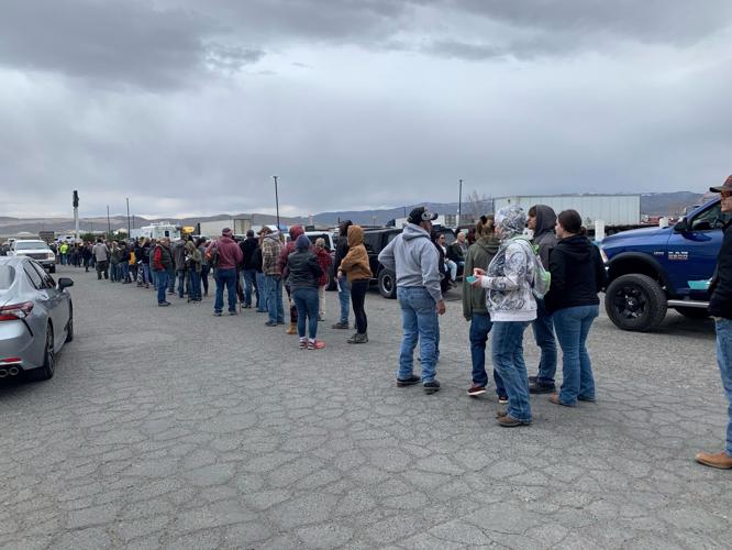 Community Helps in the Search for Naomi Irion