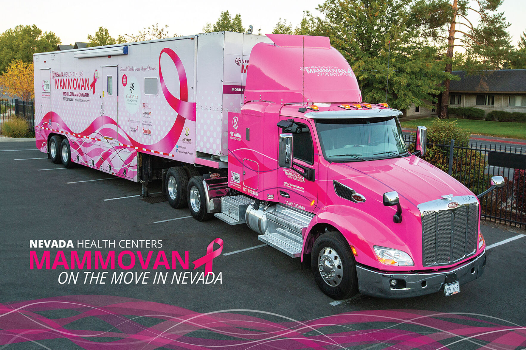 Mammovan Photo 24x36