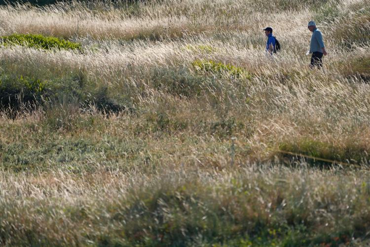 British Open Golf Championship