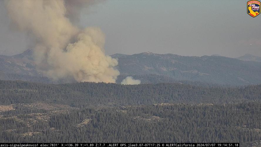 Royal Fire in Placer County Now 215 Acres, 15 Contained News