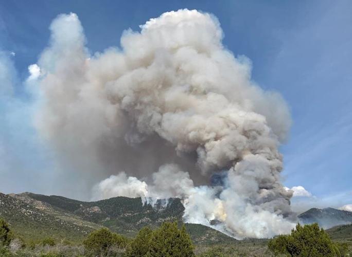 Wild Goose Fire south of Scipio, Utah