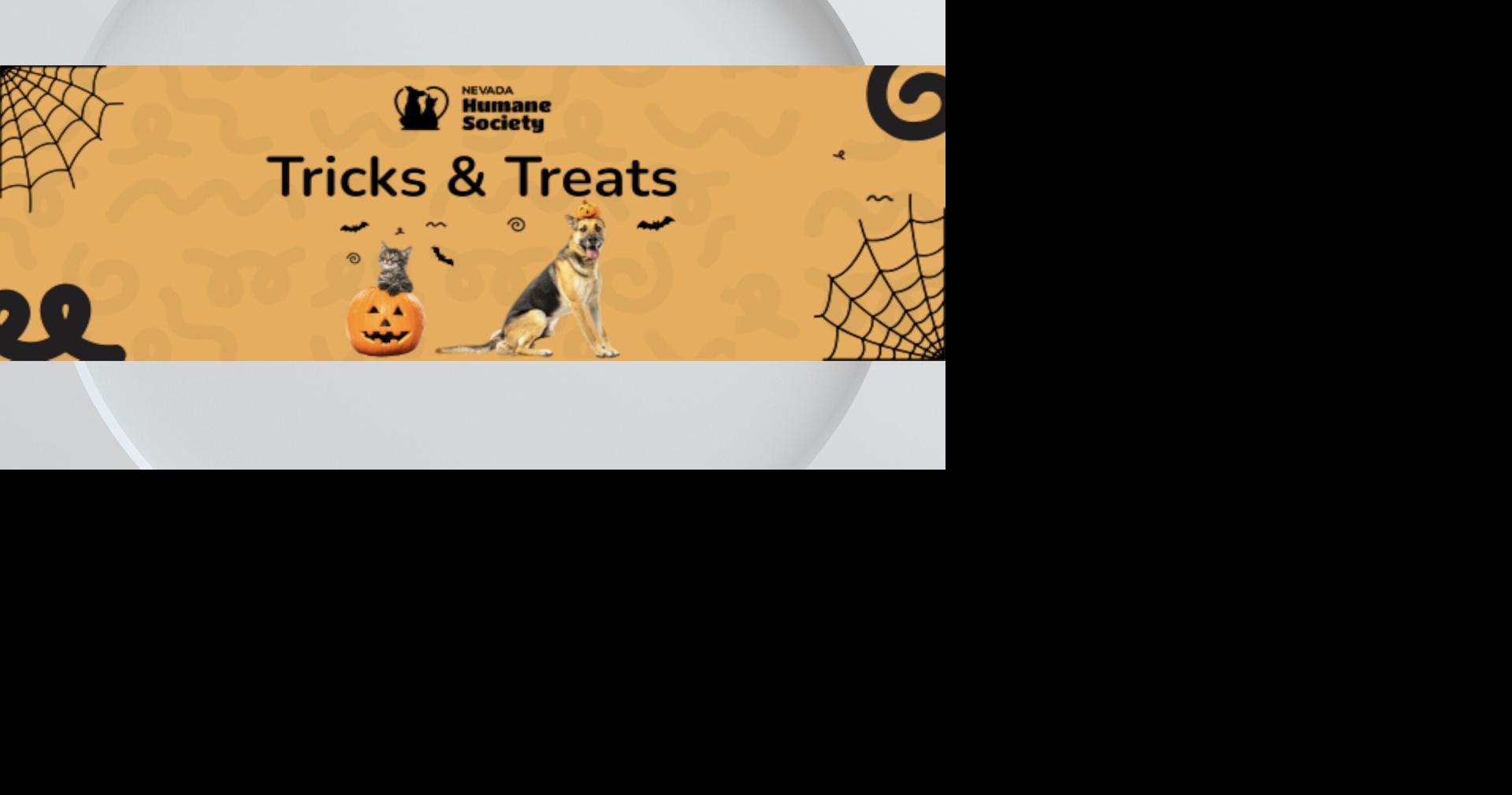 Tricks, treats and adoptable pets at the Nevada Humane Society