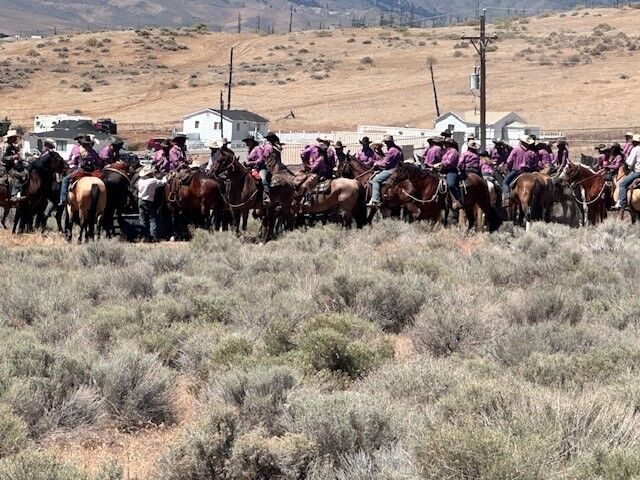 Reno Rodeo 2025 Cattle Drive - final trek to rodeo grounds 12