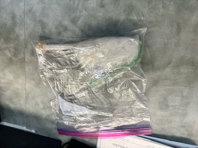 Carson City Detectives Arrest Fugitive and Drug Trafficking Suspect