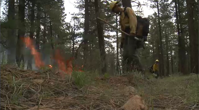 U.S. Resumes Prescribed Fires At National Forests After Review | News ...