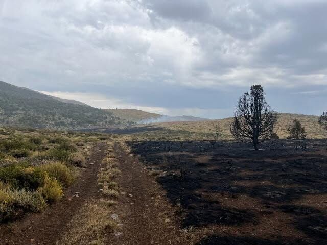 Eagle Fire