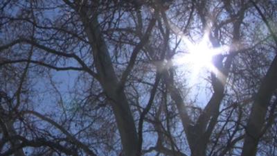 Heat Related Illnesses.JPG