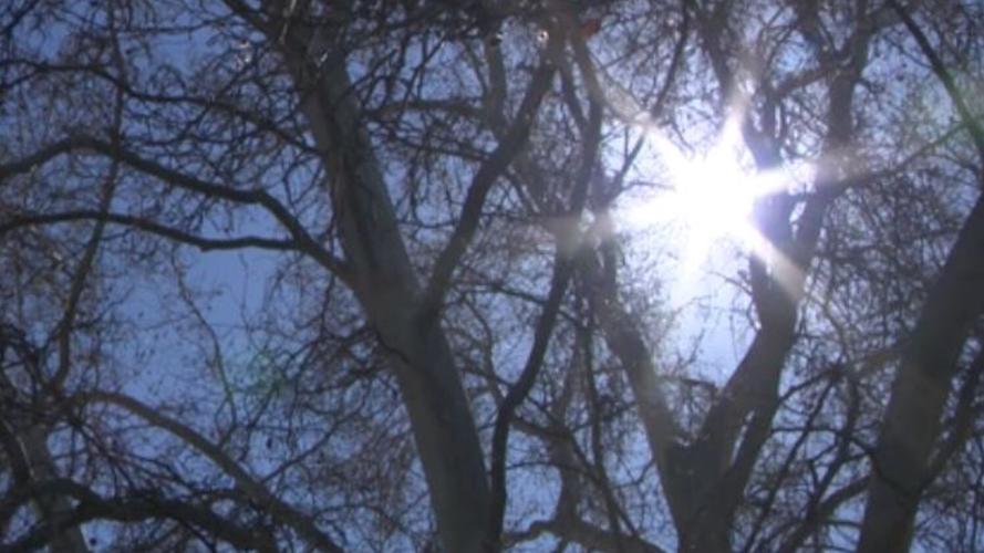 Heat Related Illnesses.JPG