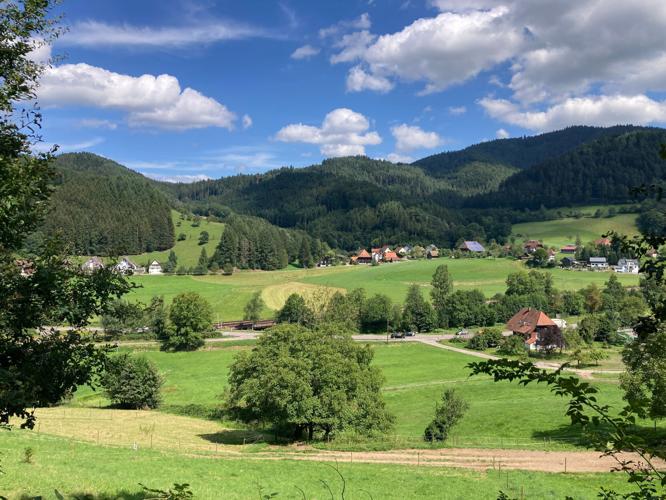 Be Well Barefoot Trails