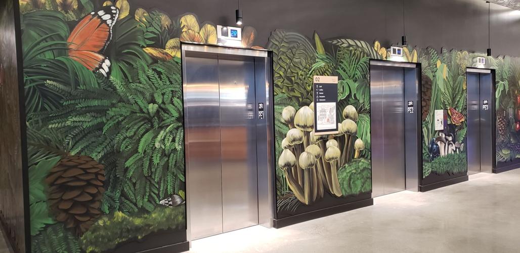 Take a Tour Through Amazon’s New Bellevue Tower Sonic News