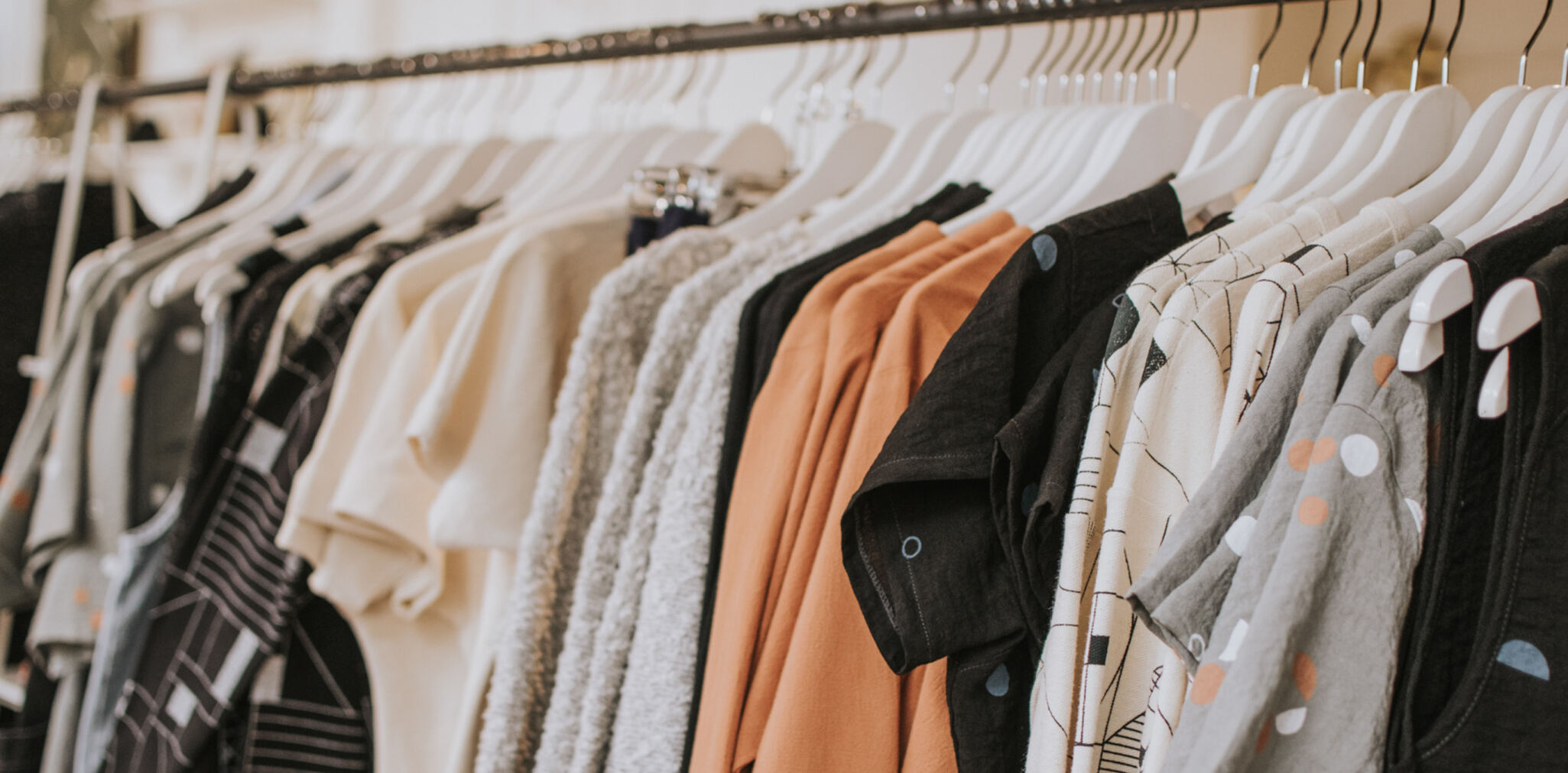 anatomy clothing boutique