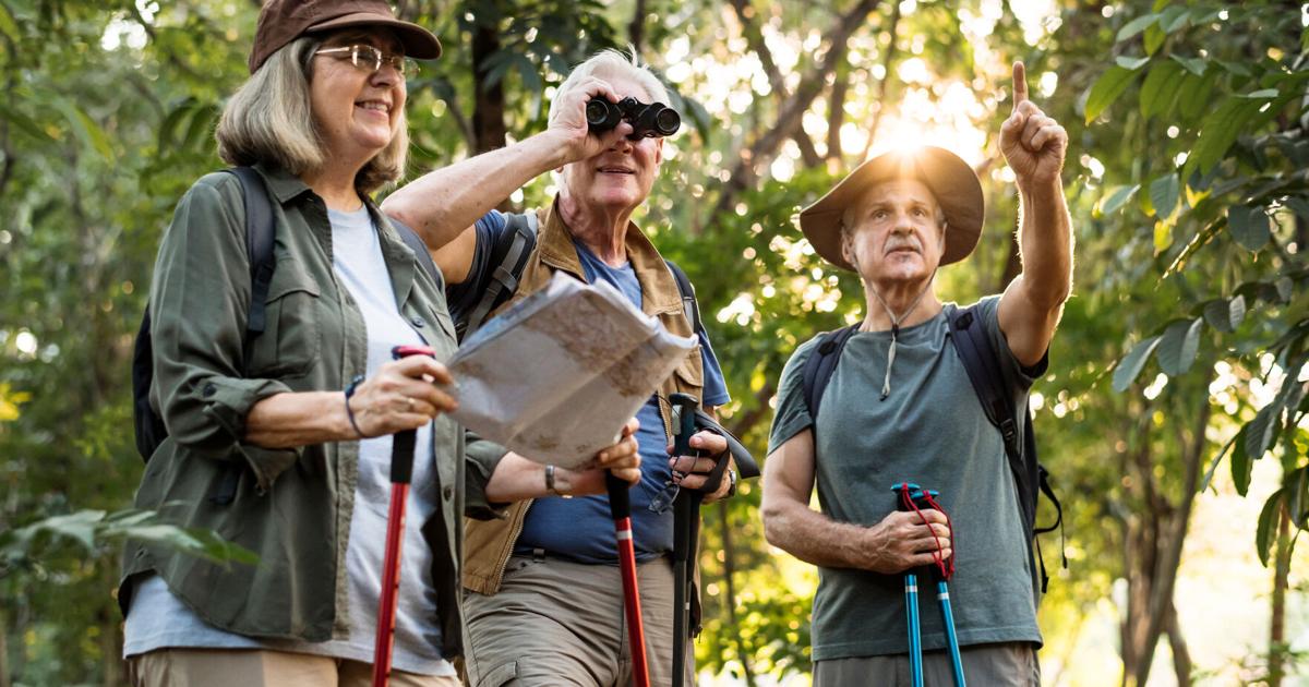 Summer activities for seniors |  The well-being
