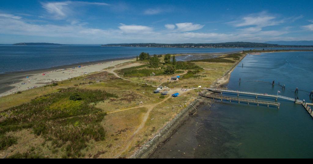 Soak Up Some Sun on Everett’s Jetty Island Travel + Outdoors