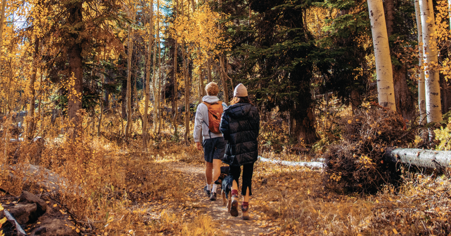 Fall Scape Program A Fall Foliage Escape | Features | 425magazine.com