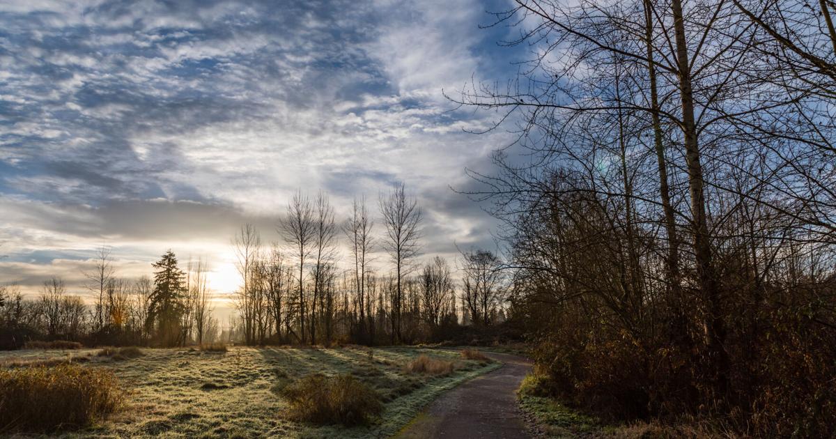 Bike Your Way Through Woodinville's Wine Country