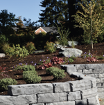 Photo by Jeff Hobson