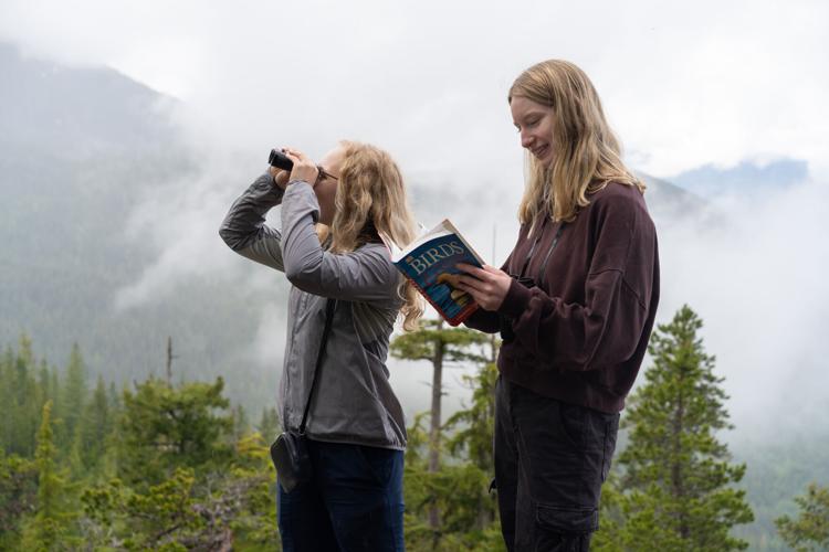 18 - Sea to Sky Gondola - Squamish - BC Bird Trail - Photo by Jordan Stout.jpg