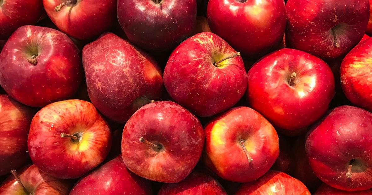 Sip & Savor: Salt & Straw's Apple Series, Salmon on Sunset, and the Snohomish Wine Walk