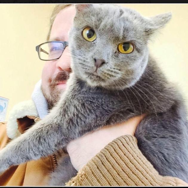 Cat Crusader In Cherry Hill Is A Hero To Feral Felines Cantor