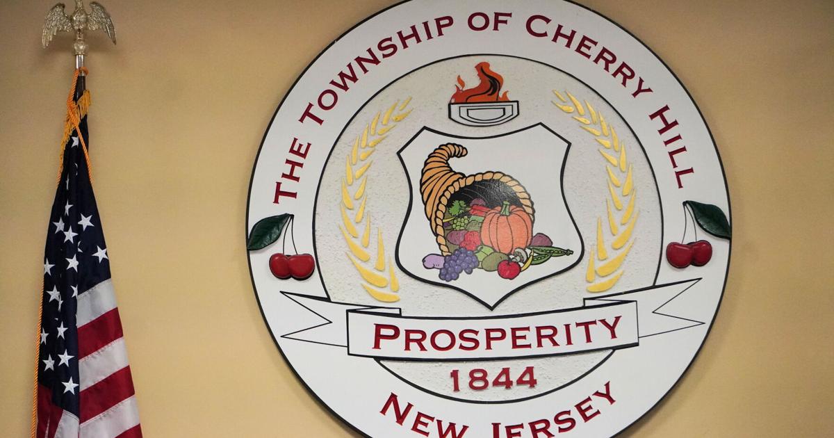DiRenzo, Hulnick named to two vacancies on Cherry Hill Township Council ...