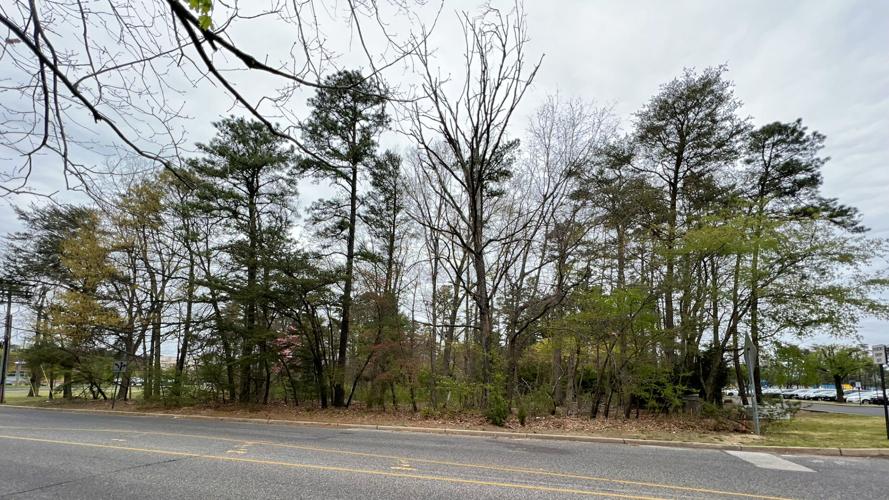04252022 SIGNAL HILL DRIVE PHOTO VOORHEES