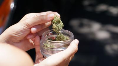 06142023 CANNABIS FLOWER