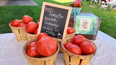 082726_BURLCO_TOMATO DAY.jpg
