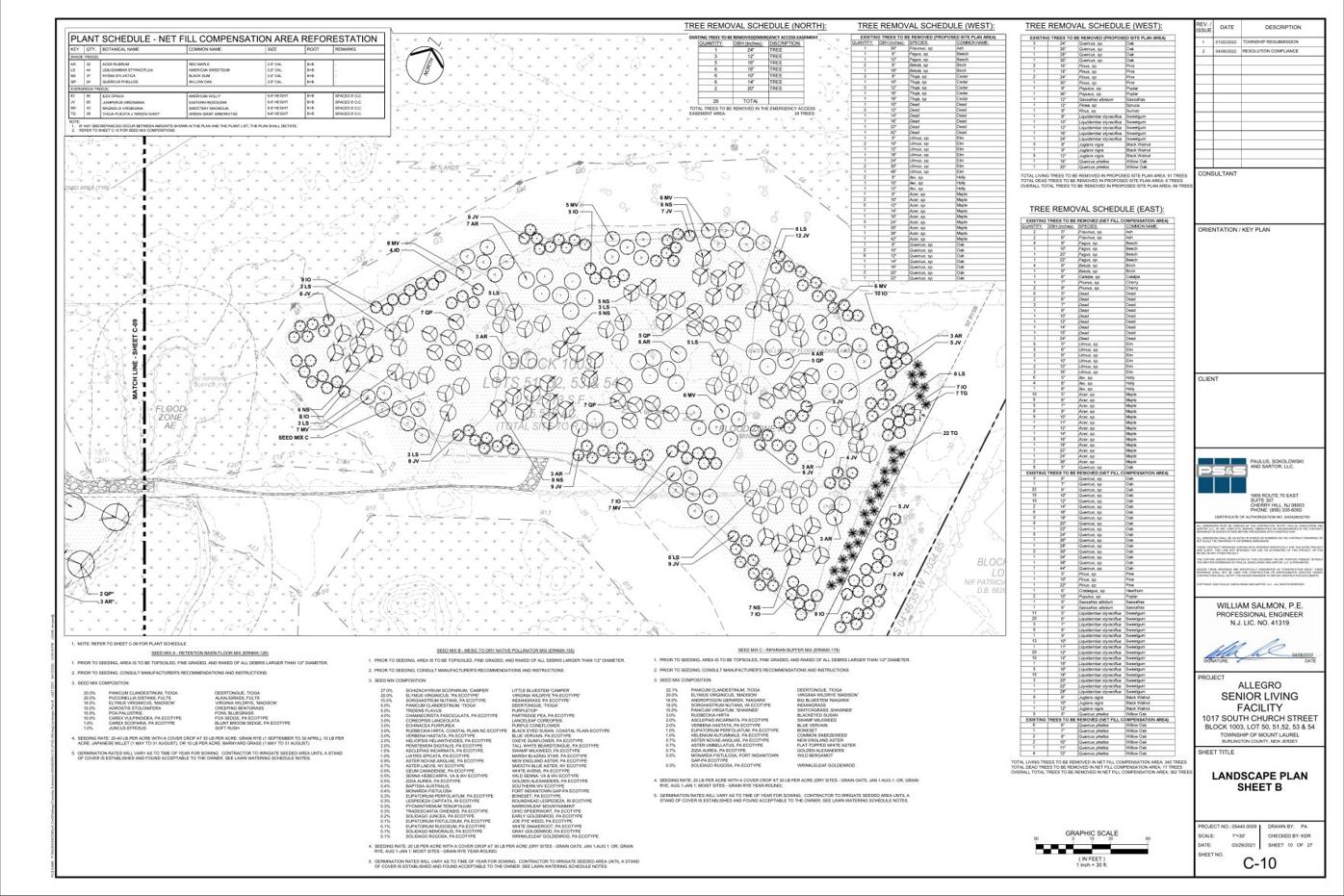 Trees to be removed by Allegro (developer's site plan)