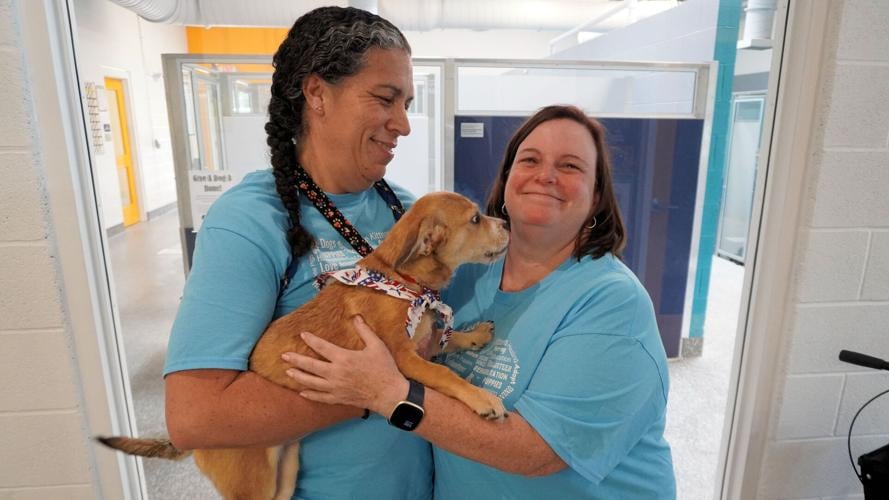 The 65-year-old Animal Welfare Association in Voorhees goes far beyond cat and dog adoptions. | News The 65-year-old Animal Welfare Association in Voorhees goes far beyond cat and dog adoptions. | News