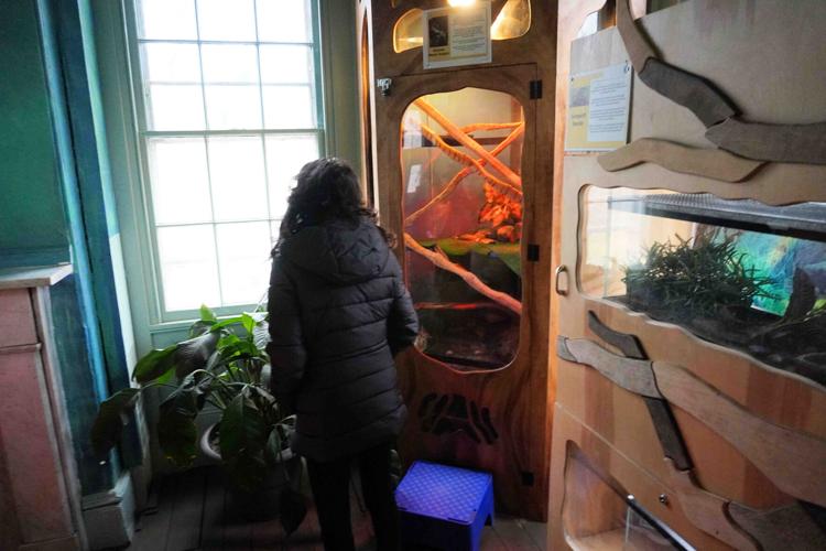 xxx reptile area 2 NAB01630.jpg
