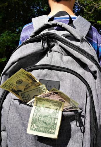 school dollars