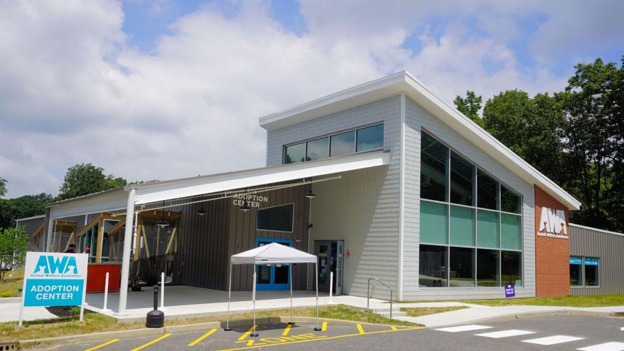 The 65-year-old Animal Welfare Association in Voorhees goes far beyond cat  and dog adoptions. | News 