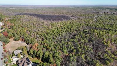 DRONE VIEW OF BLACK RUN PRESERVE AREA