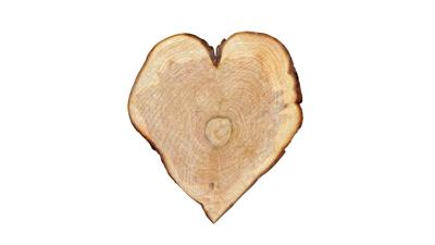 06072022 HEART TREE STUMP