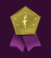 Two from Cherry Hill, one from Voorhees getting Camden County Freedom Medals for community work.