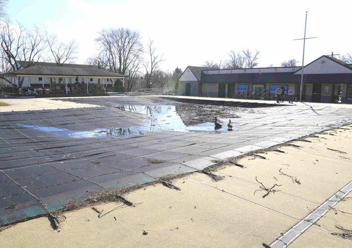 Kingston Estates Swim Club 2