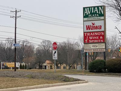 avian