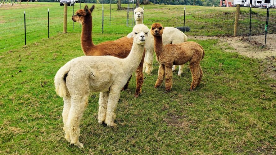 Historic 248yearold Stafford Farm in Voorhees will transform into a