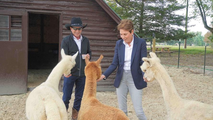 xxxALPACAS.JPG