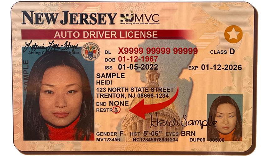 AUTISM LICENSE